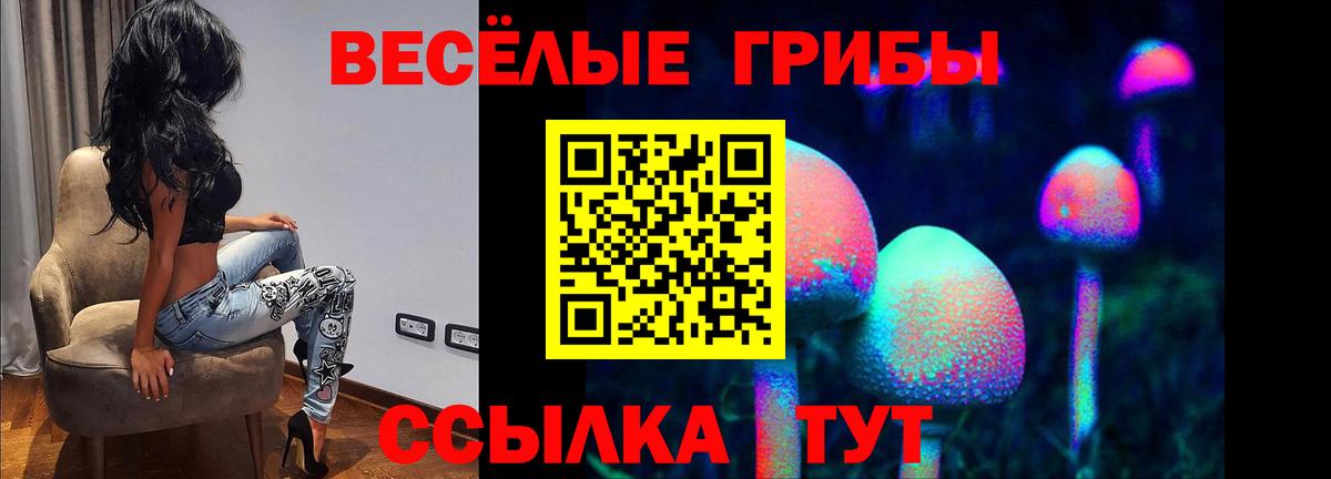 где найти   Псилоцибиновые грибы MAGIC MUSHROOMS  Вход с VPN  Тавда 